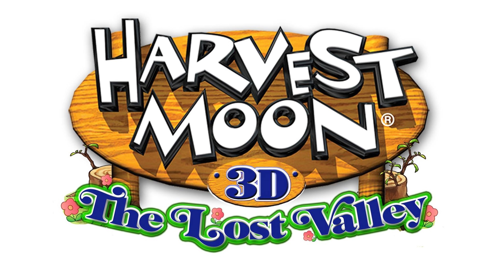 What Are The Harvest Moon Games For Ds