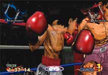 victorious boxers wii