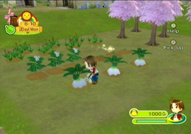 harvest moon tree of tranquility crops