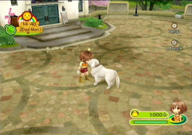 wii save game code harvest moon animal parade