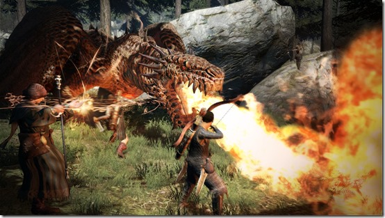 Abandoned Dragon's Dogma MMO is finally heading West after 7 years, thanks  to fans