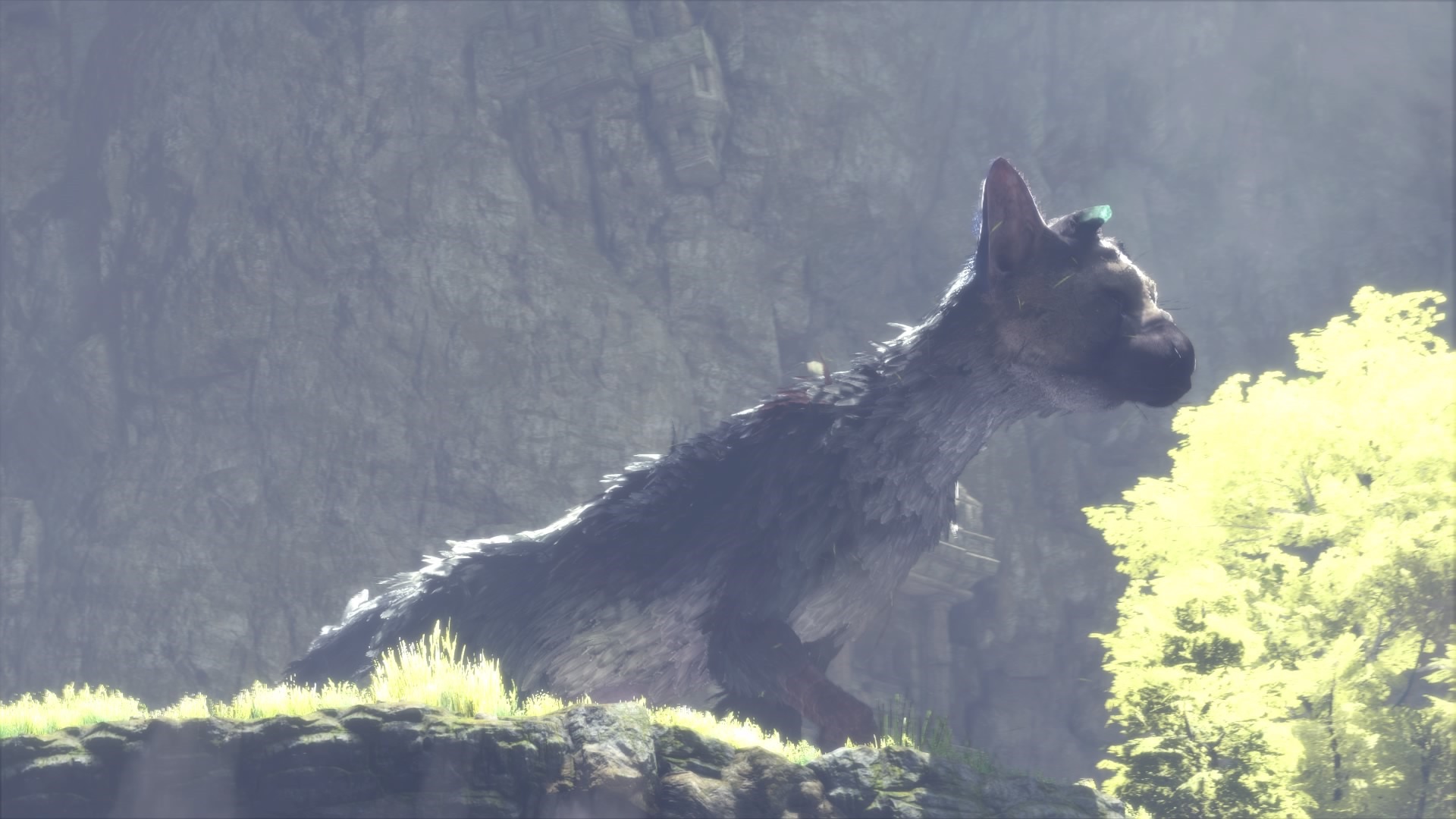 Is Last Guardian a sequel to Ico and Shadow of the Colossus? : r