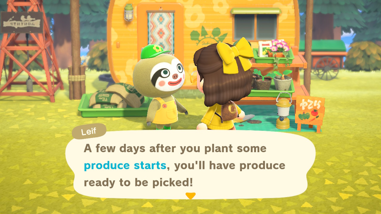 what to feed chicken animal crossing ios