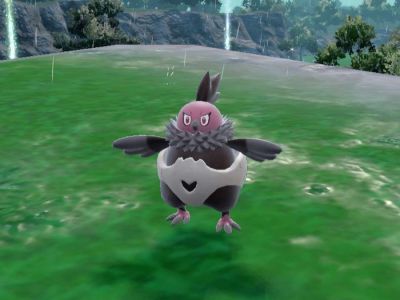 Screenshot of Vullaby in Pokemon Scarlet and Violet.