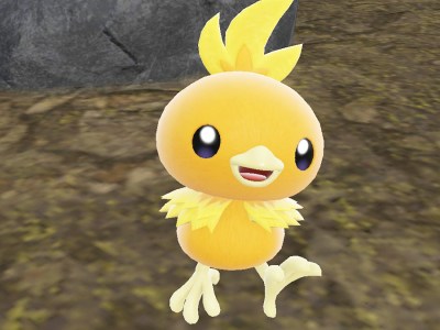 Where To Find Torchic In Pokemon's Indigo Disk DLC (& How To Catch)