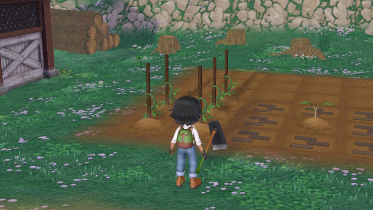 The best Harvest Moon game is now on Steam