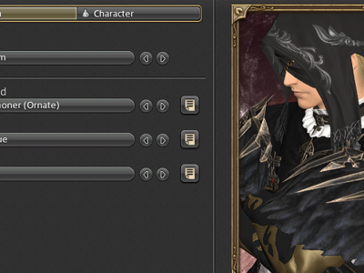 Change Portrait FFXIV