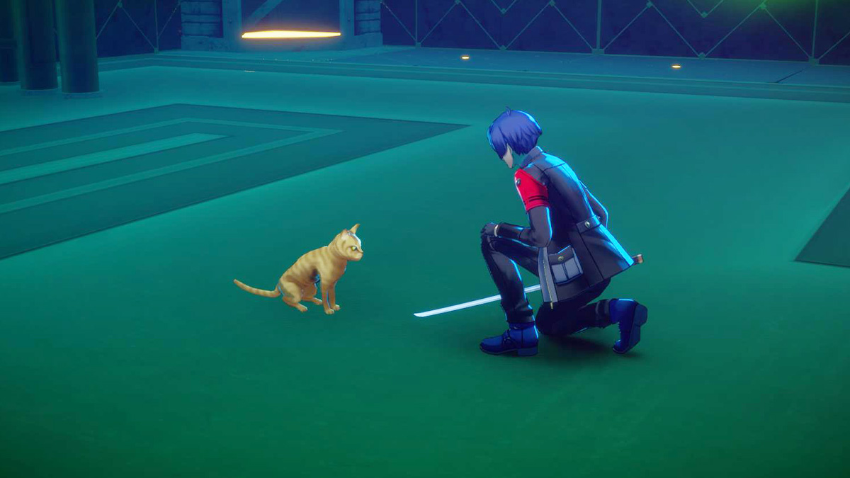 How to Feed Hungry Cat in Persona 3 Reload Elizabeth Request