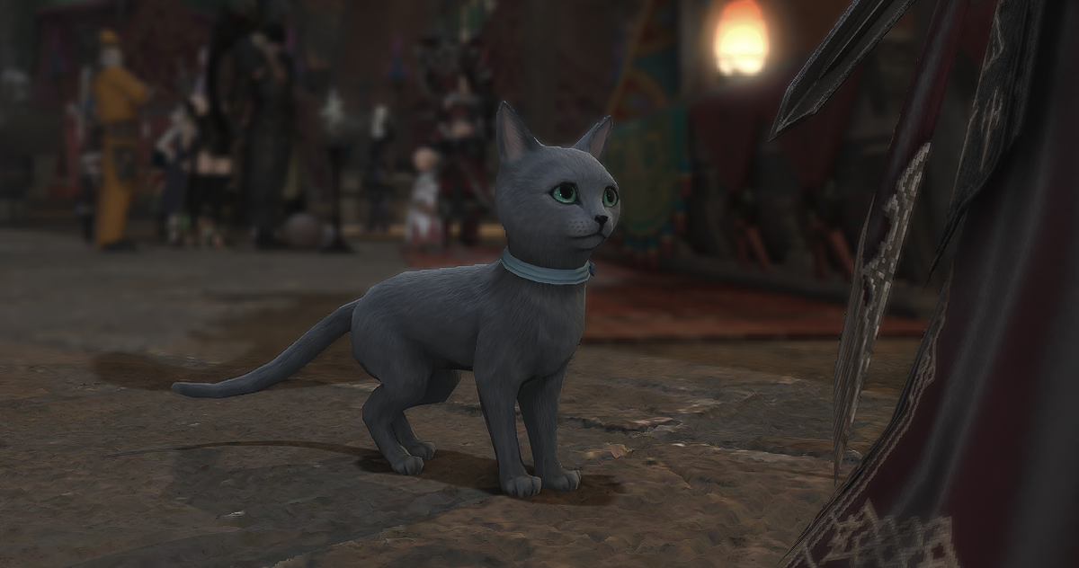 FFXIV Dawntrail Bluecoat Cat