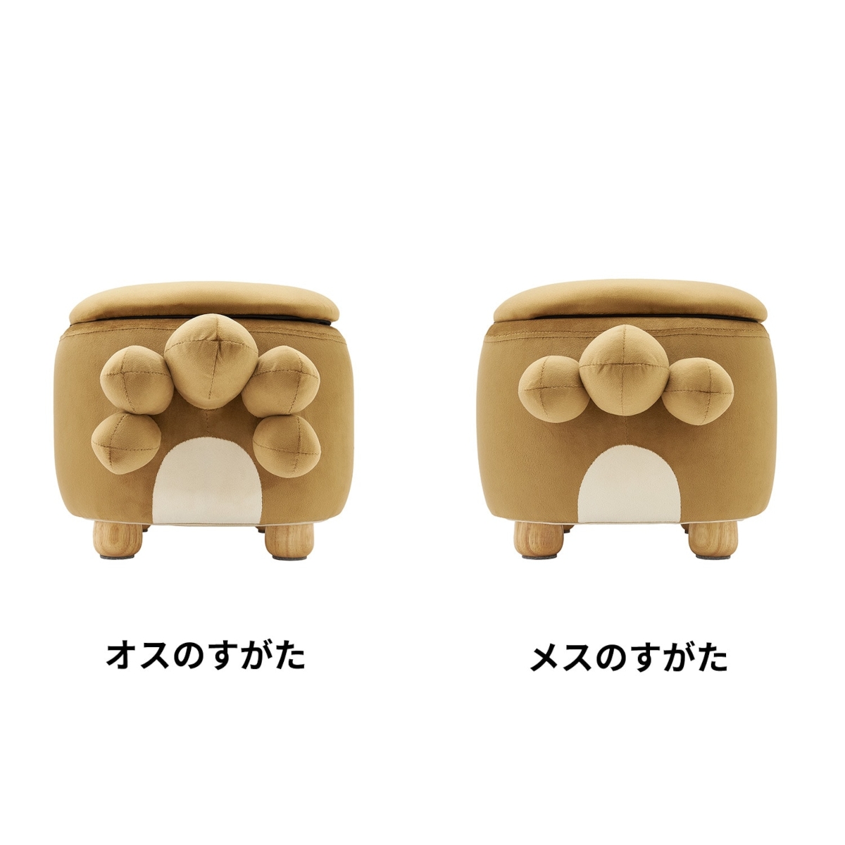 Pokemon Bidoof Stool - Difference Between Male and Female Tails