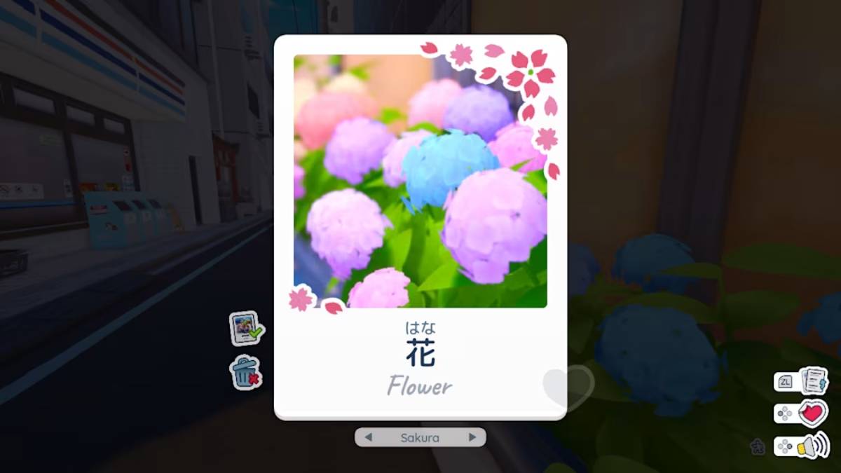 Review: Shashingo: Learn Japanese With Photography Is More Fun Than Flashcards language game