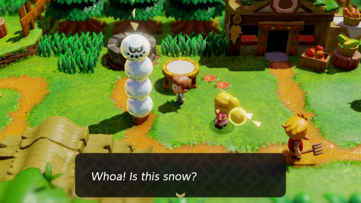 Which Echo Goes With LOZ Echoes of Wisdom What Is Snow Really