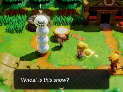 Which Echo Goes With LOZ Echoes of Wisdom What Is Snow Really