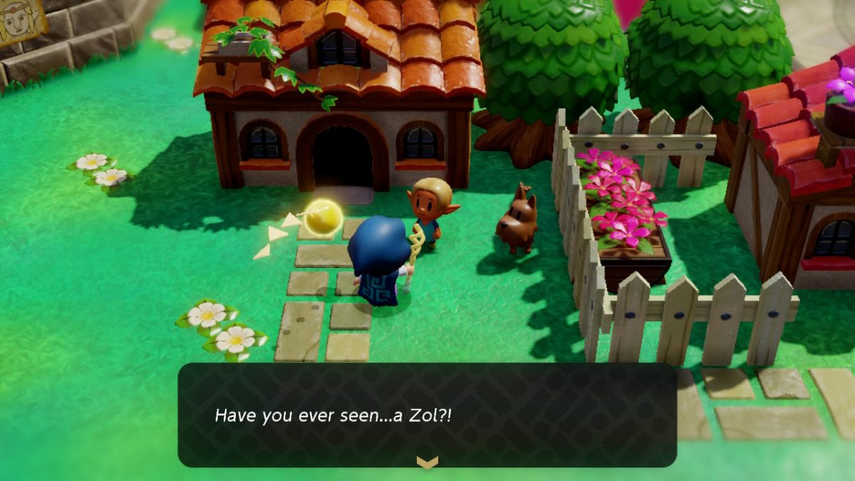 Which LOZ Echoes of Wisdom Zol Does the Curious Child Want