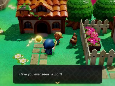 Which LOZ Echoes of Wisdom Zol Does the Curious Child Want