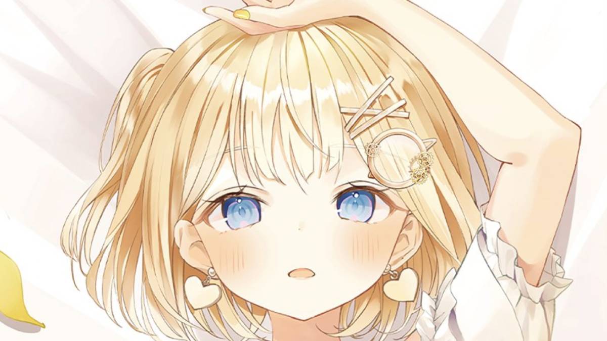 Aparecen la funda de almohada corporal y los peluches de Hololive Vtuber Amelia Watson