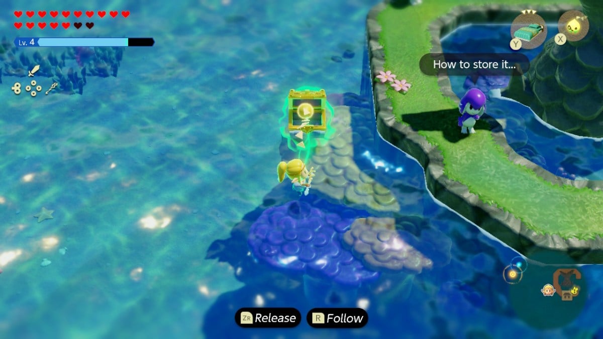 Where to Put the Precious Treasure in LOZ Echoes of Wisdom