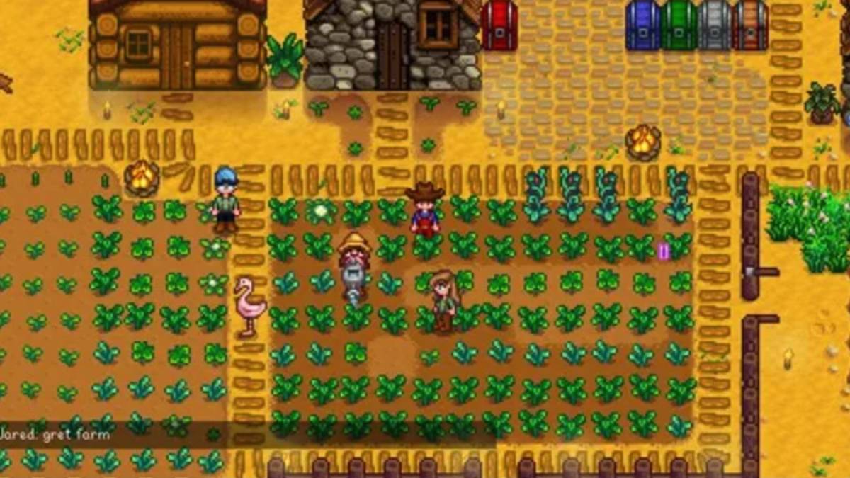 Обновление для мобильных устройств Stardew Valley 1.6 добавляет экспериментальный мультиплеер