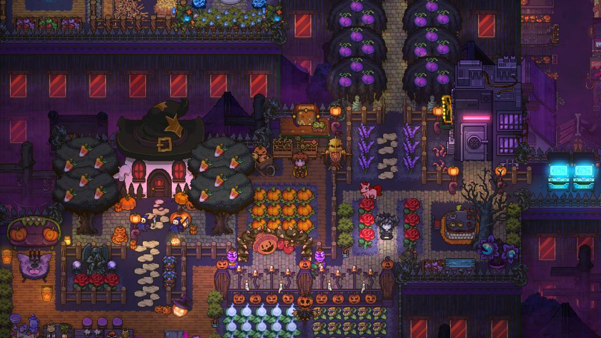 Move Into the Sun Haven Switch Version in November