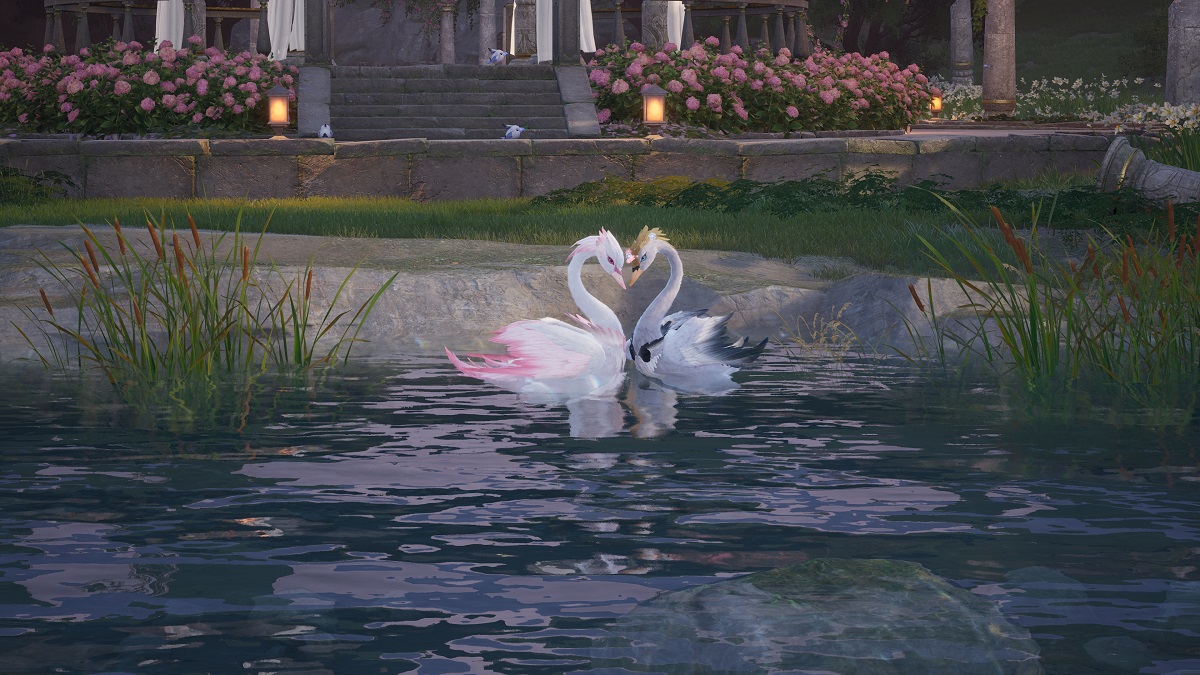 How to Groom Swans in Infinity Nikki