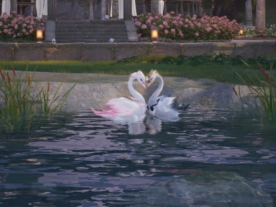 How to Groom Swans in Infinity Nikki