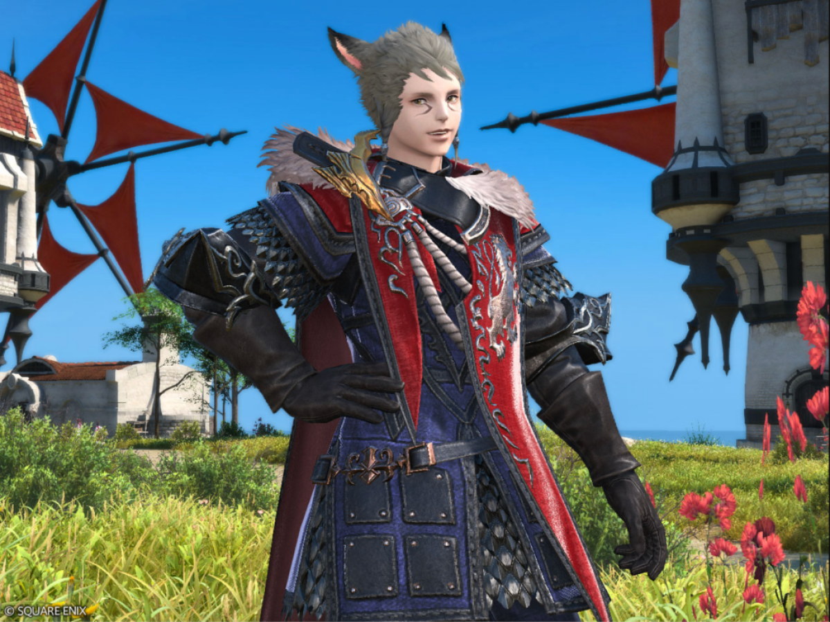 War of the Visions Mont Attire closeup on Miqo'te man.